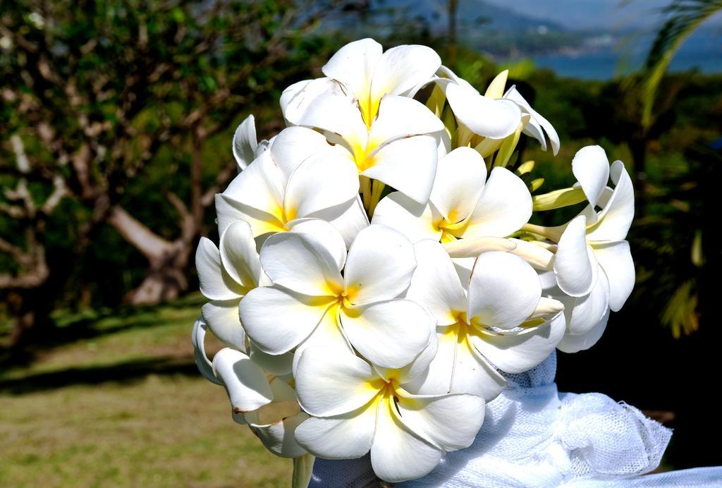 Anchorage Beach Resort Viseisei Екстер'єр фото