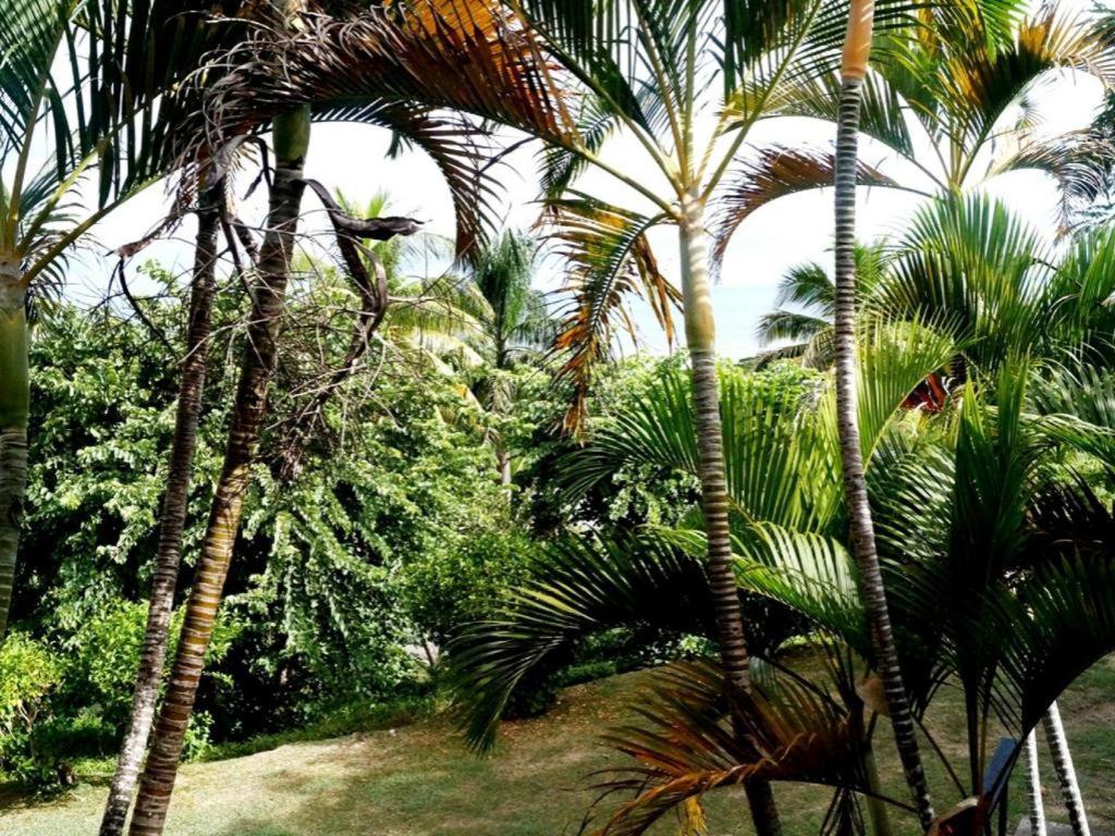 Anchorage Beach Resort Viseisei Екстер'єр фото